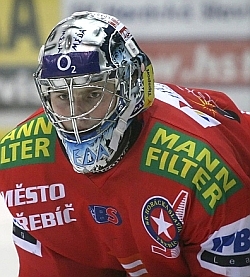 Michal Nedvdek